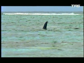 Le Retour d'Arsène Lupin (aka Requins à la Havane)