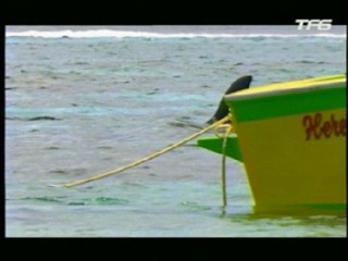 Le Retour d'Arsène Lupin (aka Requins à la Havane)