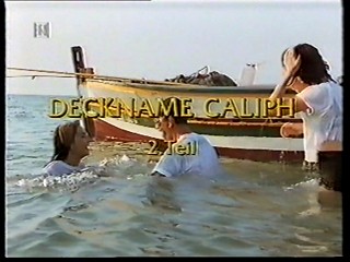 Wild Justice (aka Deckname Caliph)