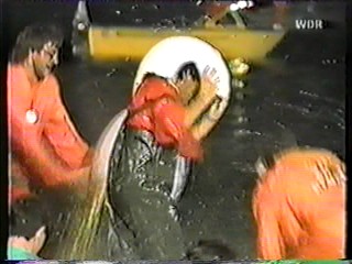 StÃ¤dte Spiel ohne Grenzen