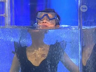 Ciao Darwin - Poland