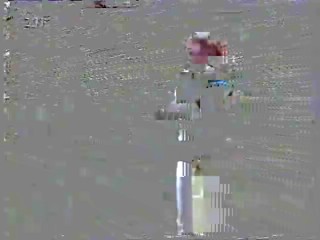 ZDF - Woman walking into pond to save child