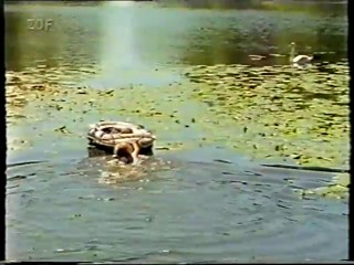 ZDF - Woman walking into pond to save child