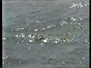 Arte - white dresss in sea and rowing boat