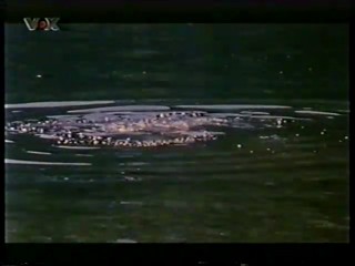 VOX - TV movie - rescue of woman