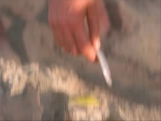 Survival Island Trailer