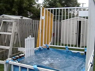 Tara Dunked in a Bikini IN COLD WATER!!!!!!    :D