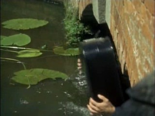 The Avengers: You Have Just Been Murdered