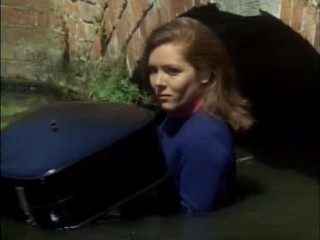 The Avengers: You Have Just Been Murdered