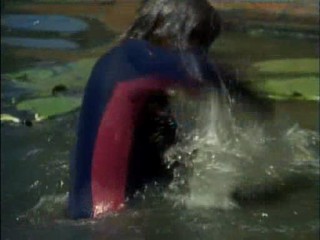 The Avengers: You Have Just Been Murdered