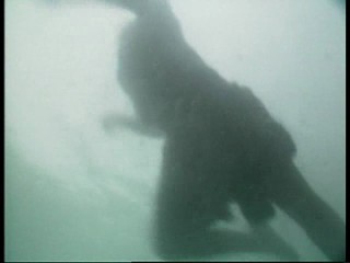 Doctor Who (classic)