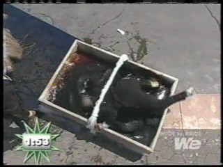 Bride vs Bride show 7