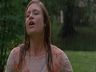 Bloch TausendschÃ¶nchen