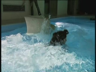 Die fetten Jahre sind vorbei (1)