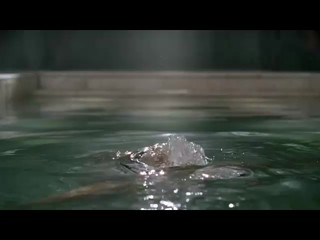 Legend of the Seeker