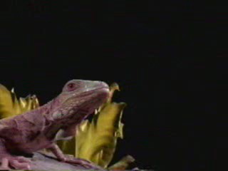 Paula Abdul - Promise of a new day