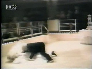 Germany's Funniest Videos