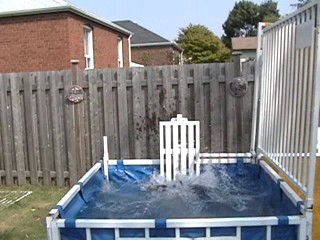 Jessie Dunked In Jeans