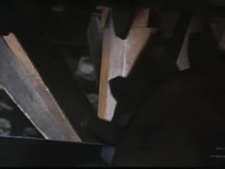 The Long Kiss Goodnight