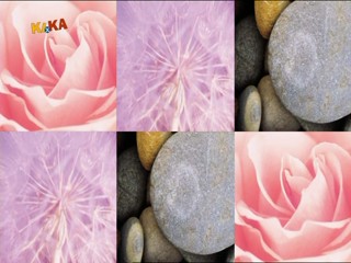 Female presenter gets caked