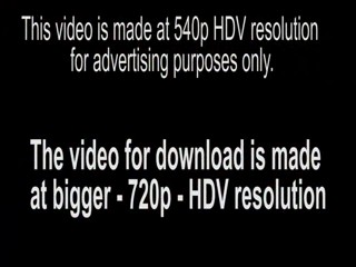 White Wetlook Party Trailer