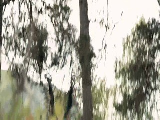 A Lonely Place to Die