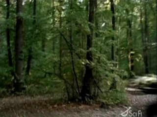 Anaconda 3 mud scene