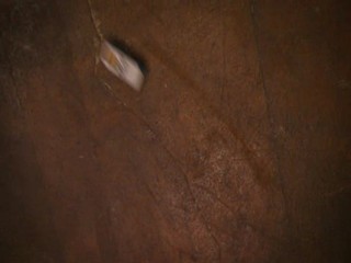 Poison Ivy 4: The Secret Society