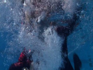 Poison Ivy 4: The Secret Society