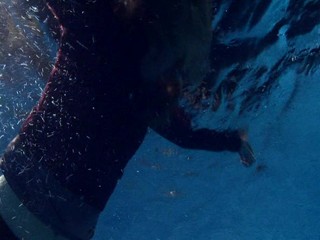 Poison Ivy 4: The Secret Society