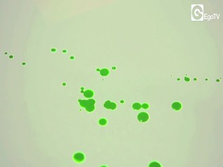 Paint Me Like a French Girl