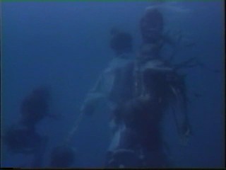 Honeymoon Academy; Kim Cattrall underwater