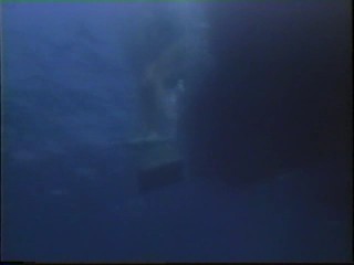 Honeymoon Academy; Kim Cattrall underwater