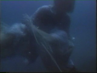 Honeymoon Academy; Kim Cattrall underwater