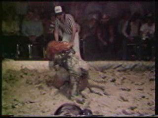 Mud wrestling