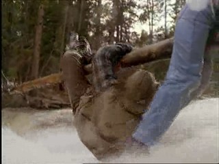 Legion of Fire: Killer Ants!