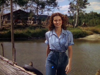 Captain of the Clouds