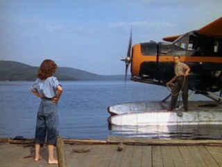 Captain of the Clouds