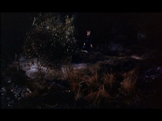 The Hound Of The Baskervilles