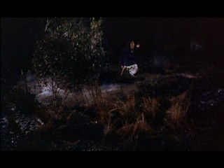 The Hound Of The Baskervilles