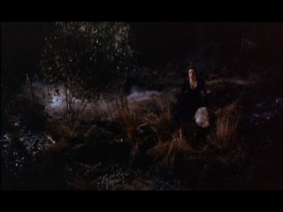 The Hound Of The Baskervilles