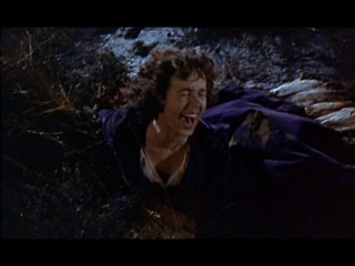 The Hound Of The Baskervilles