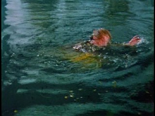 Appointment in Honduras