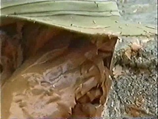 The Lost World (tv series)