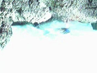 Treasure of the Templar