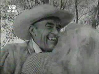 Mud Honey, Lake Consequence, There Goes the Neighborhood