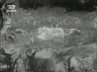 Mud Honey, Lake Consequence, There Goes the Neighborhood