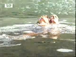 Mud Honey, Lake Consequence, There Goes the Neighborhood