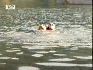 Mud Honey, Lake Consequence, There Goes the Neighborhood