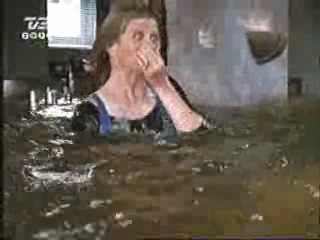 Mud Honey, Lake Consequence, There Goes the Neighborhood